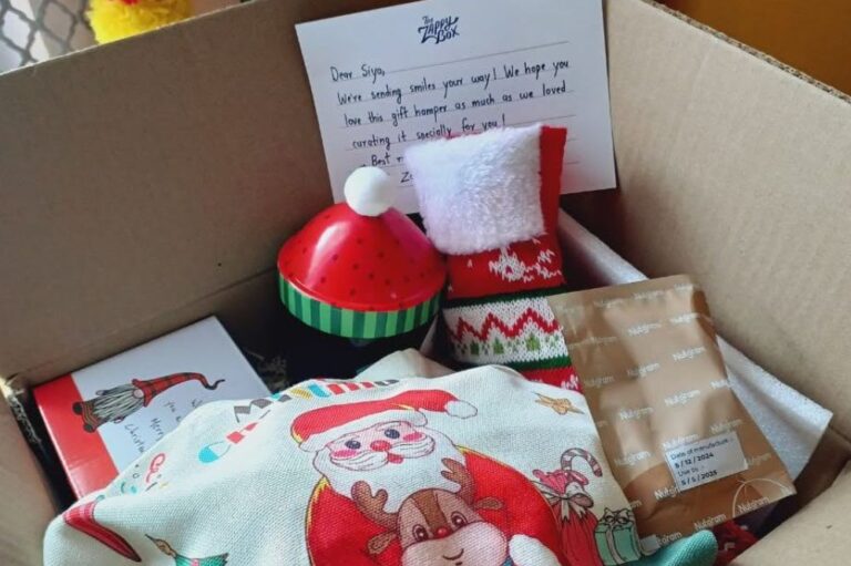 zappy-box-review